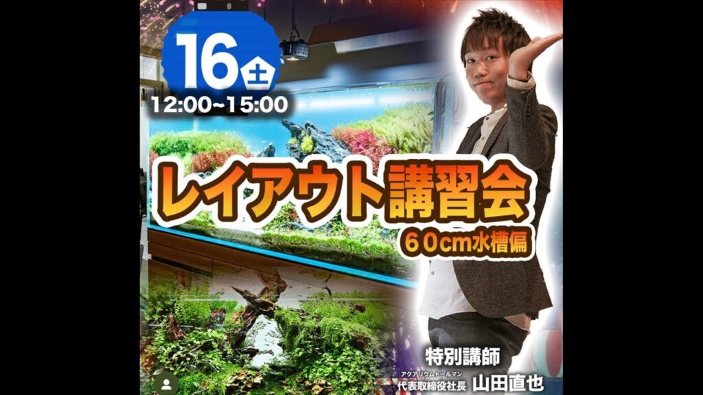 LIVETV