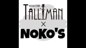 NOKO.STV_
