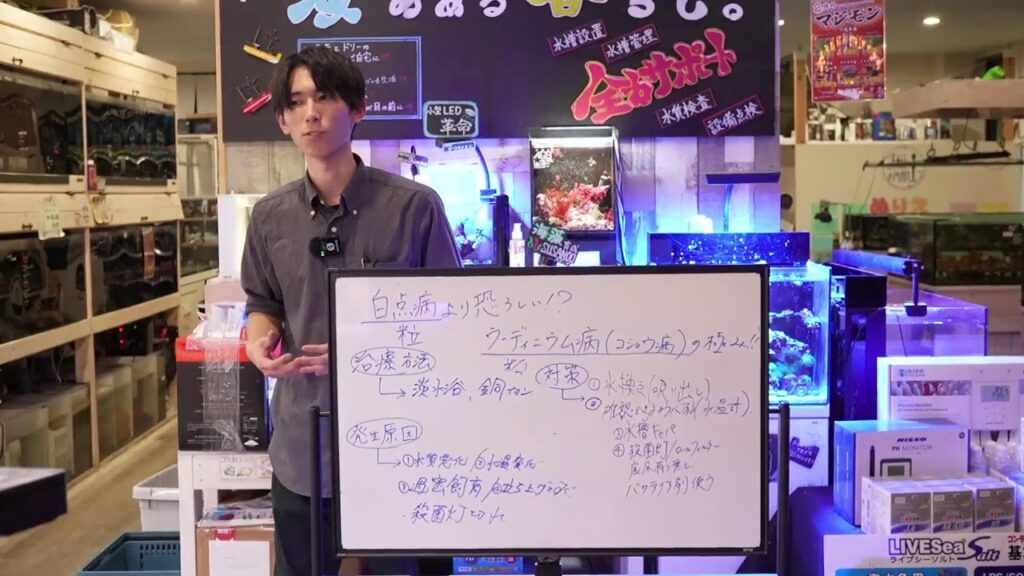 TV-6