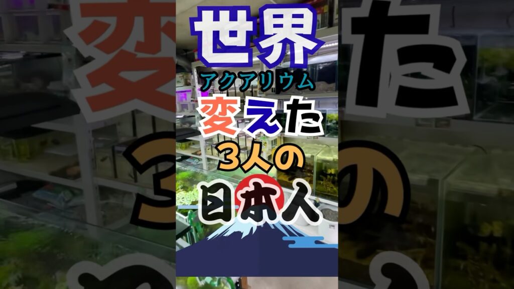 shorts-aquascape-aquarium-