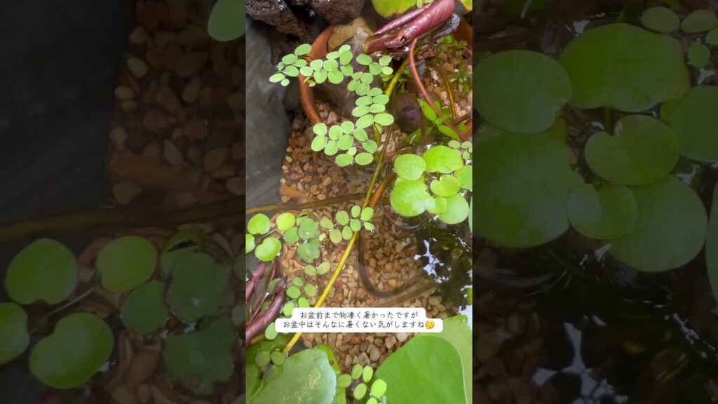 unnamed-file-20