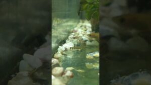 unnamed-file-25