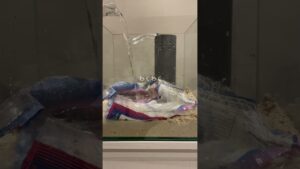 unnamed-file-27