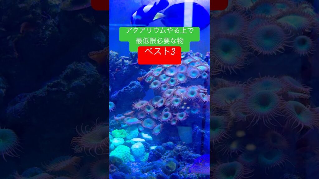 unnamed-file-41