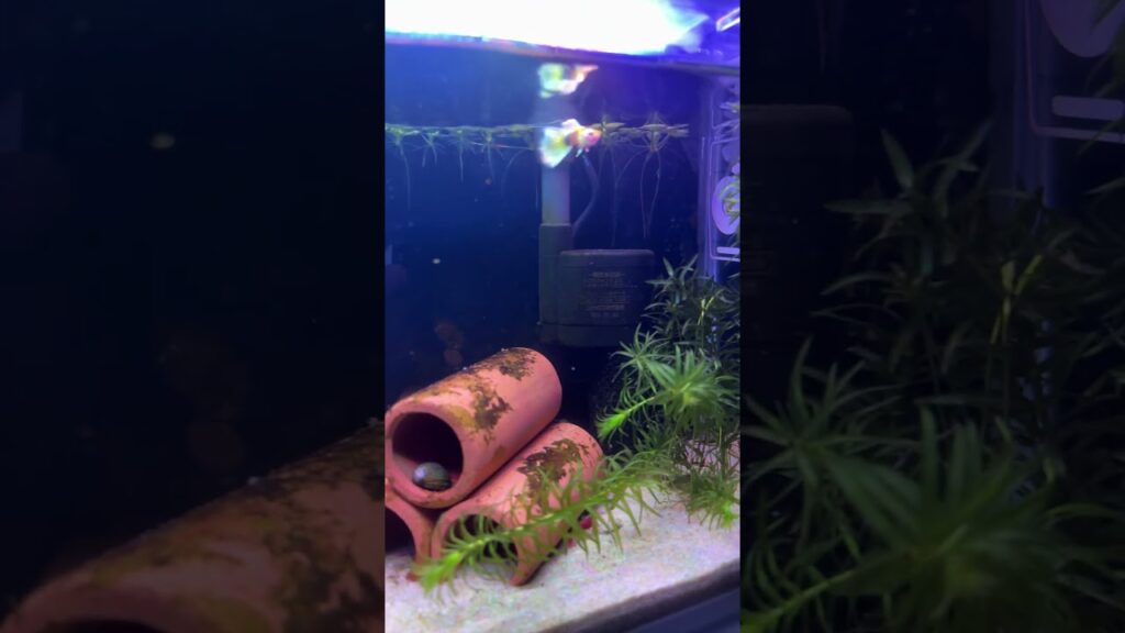 1-