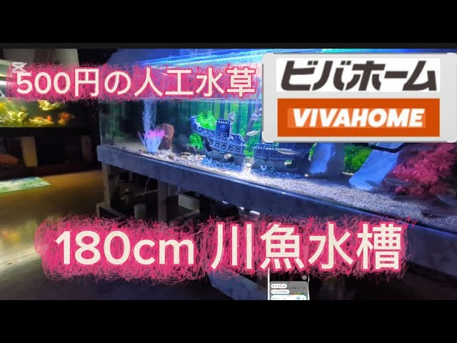180cm-500