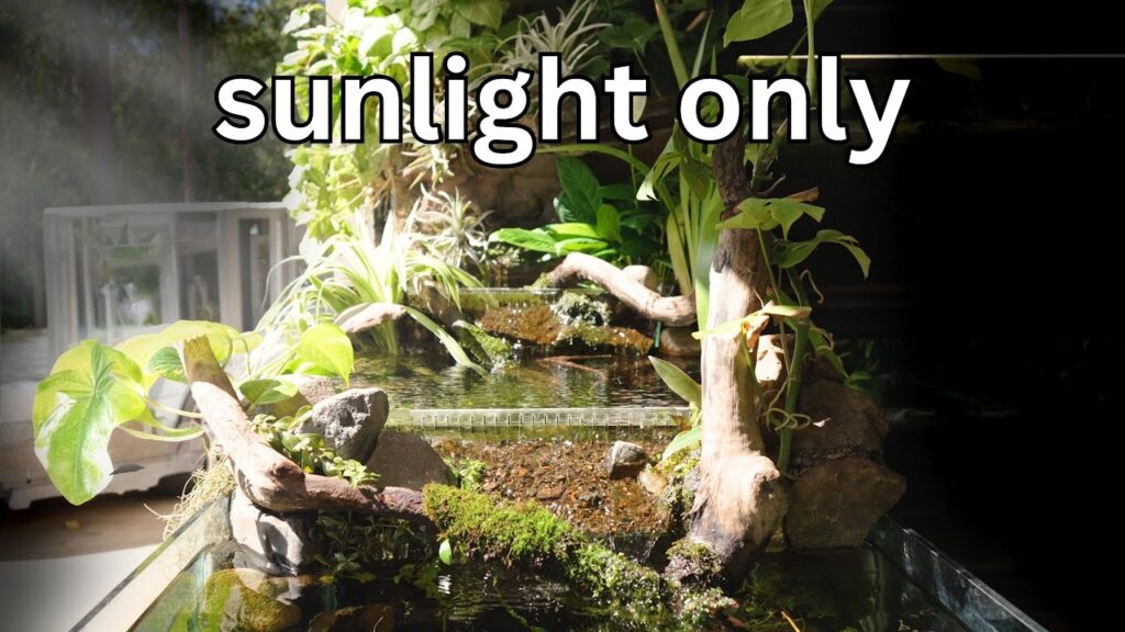 3-Tier-Sunlit-River-Aquarium-with-a-Waterfall