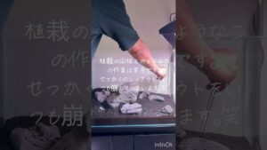 60cm-