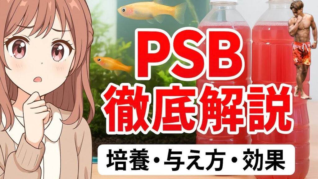 PSB