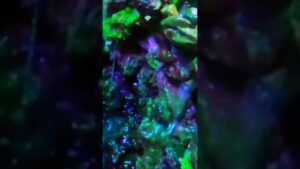 mini-Waterfalls-aquarium-aquascape-waterfall