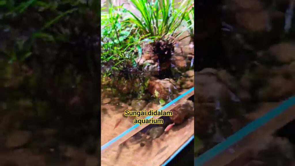 sungai-di-dalam-aquarium-aquascape-sungai-airterjun
