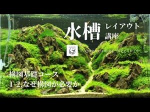 unnamed-file-20