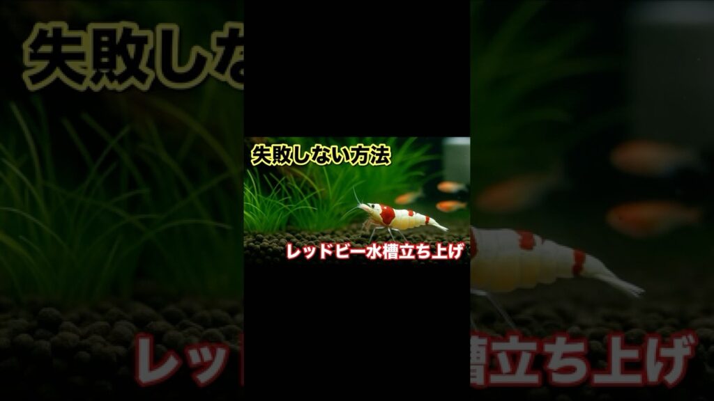 unnamed-file-8
