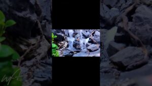 waterfall-danau-aquarium-aquariumairterjun-fishtank