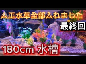 180cm-aquarium-