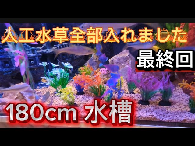 180cm-aquarium-