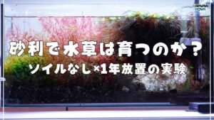 45cm-