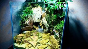 A-waterfall-overgrown-with-plants