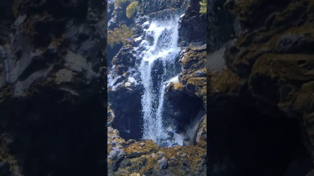 Aquarium-Paradise-waterfall