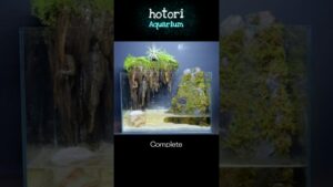 Aquarium-floating-continent-mountain-waterfall-
