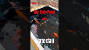 DIY-Fish-Pond-with-waterfallshorts-sehar-viral-aquarium-aquaticpets-fish-minivlog-trending