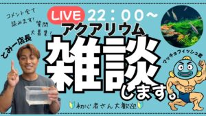 LIVEOK-1