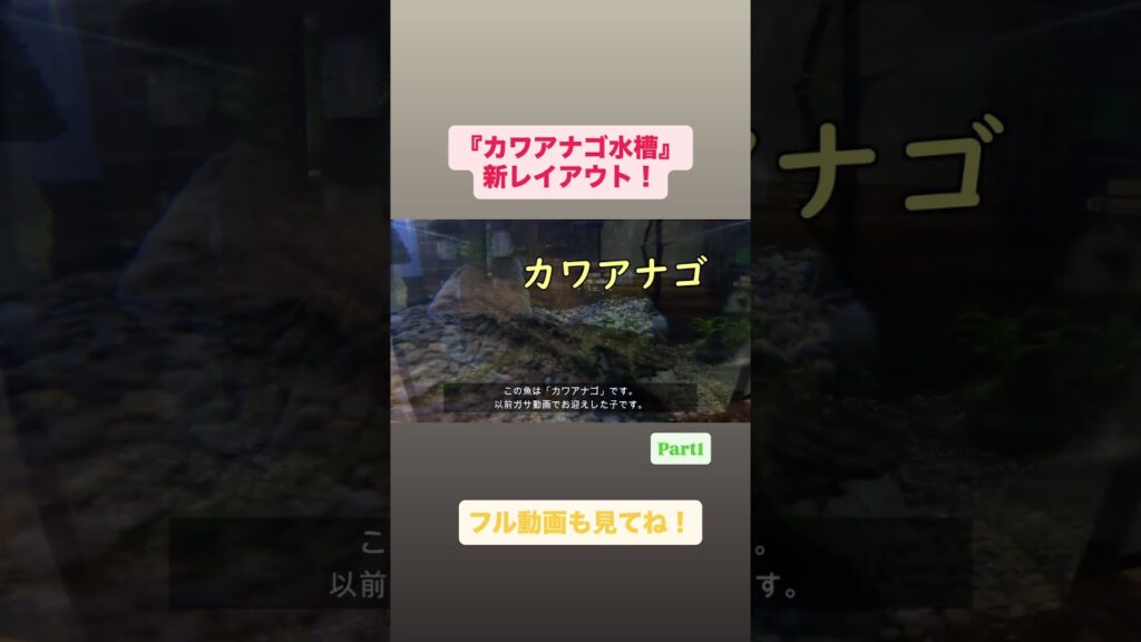 Vol.26Part1-