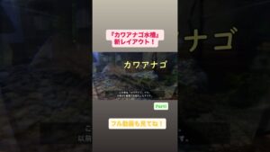Vol.26Part1-