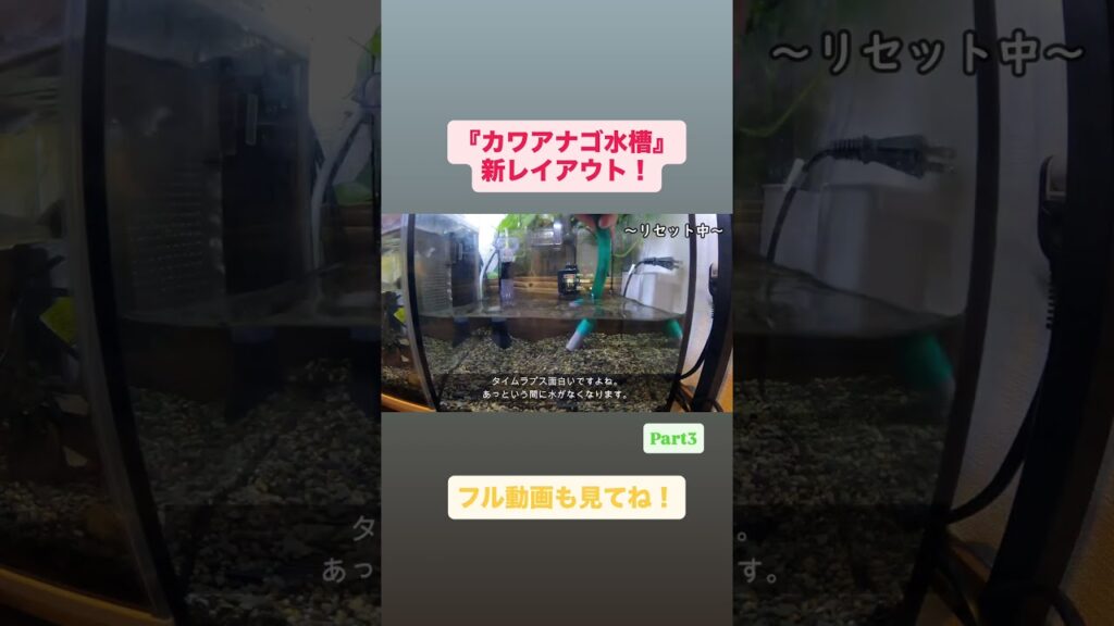 Vol.26Part3-