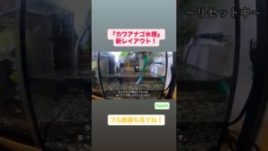 Vol.26Part3-