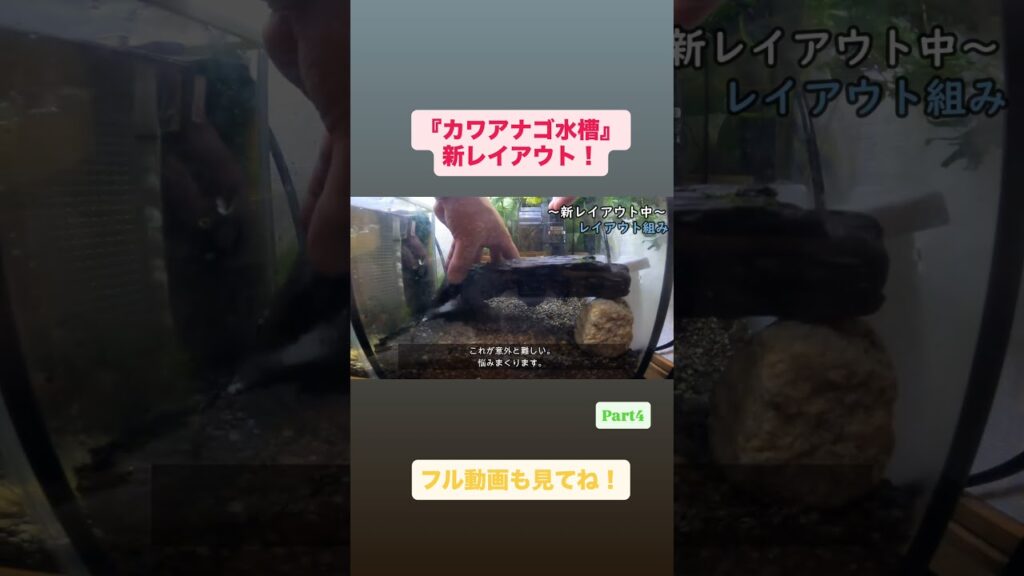 Vol.26Part4-