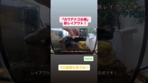 Vol.26Part5-