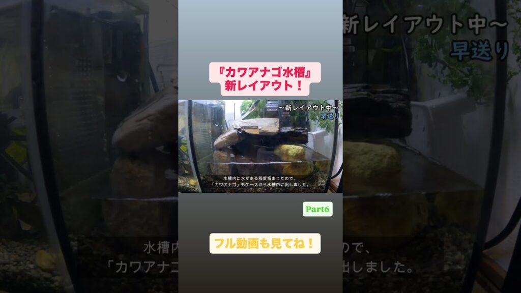 Vol.26Part6-