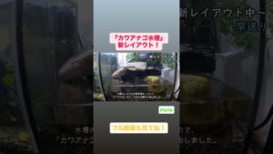 Vol.26Part6-