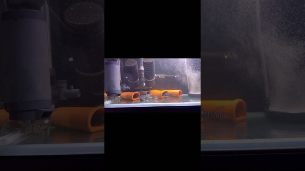 aquarium-1-2