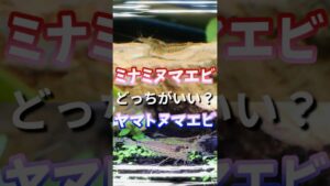 unnamed-file-2