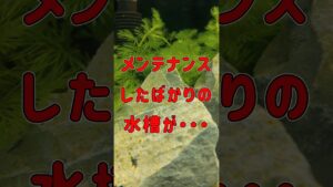 unnamed-file-26