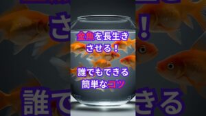 unnamed-file-3