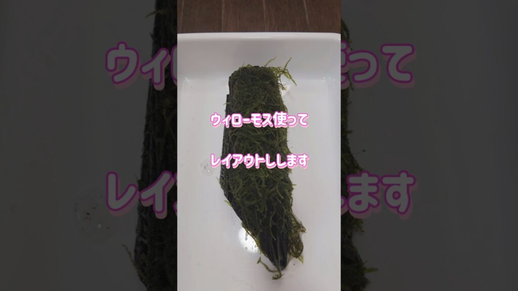 unnamed-file-4