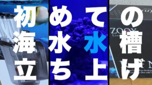 1.-Marine-Aquarium-ZOOX-Reef-Nano-Mini-QQ1-ASMR