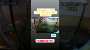 25cm250-Part3-