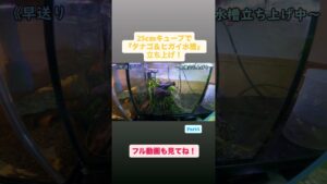 25cm250-Part4-