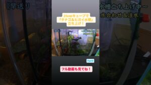 25cm250-Part5-