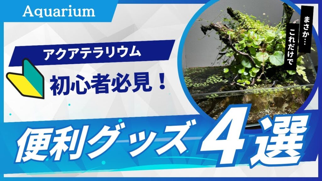 4Explaining-4-useful-aqua-terrarium-items-060