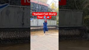 Exploring-Radiant-Fish-World-Beautiful-Waterfall-Aquarium-TourRadiantFishWorld-TravelVlog