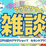 【ゆるっとアクアリウムLIVE】初心者さんいらっしゃい♪お魚の飼い方・質問なんでもOK！【江戸川区セカンドアクア】