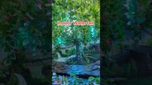 Magnificent-Under-Aquarium-Waterfall-bangalore-beautiful-marinelife-love-karnataka