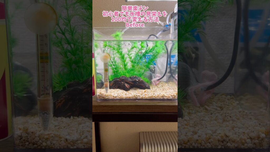aquarium-100-100diy-