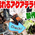 【アクアリウム】滝が流れる癒しのアクアテラリウム（水換え不要のシステムで楽しむレイアウト製作方法）