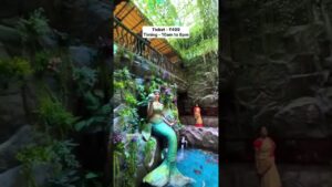 waterfall-fish-aquarium-happiness